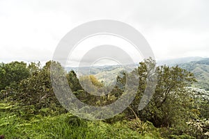 Sceneries of Lookout of Salento in Quindio, Colombia. photo